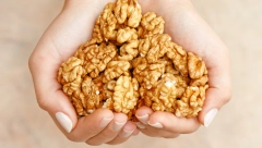 DA LI ORASI ZAISTA ŠTITE SRCE I SPREČAVAJU DEMENCIJU Evo šta kažu stručnjaci