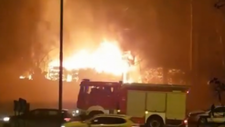 SUVO MESO UMALO MU DOŠLO GLAVE Dok se pečenica dimila, mast je kapala, a onda je  došlo do požara