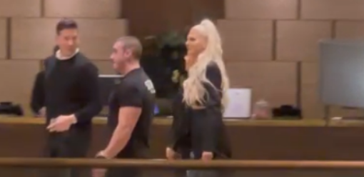 KARLEUŠU PRATI JAKO OBEZBEĐENJE Jelena spremna da zapali Beograd za reprizu Nove godine