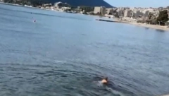 NOVOGODIŠNJE KUPANJE Žena u Herceg Novom skunula se u kupaći i uživa plivajući