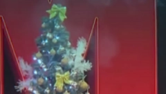 ZAPALILA SE JELKA U PROGRAMU UŽIVO Nastao haos u studiju, gosti poskakali s mesta