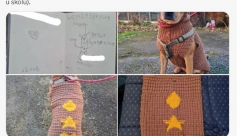 AKO OVO NIJE DOKAZ LJUBAVI, NE ZNAMO ŠTA JE Dečko joj sam ispleo džemper za psa po uzoru na njen crtež iz vrtića!