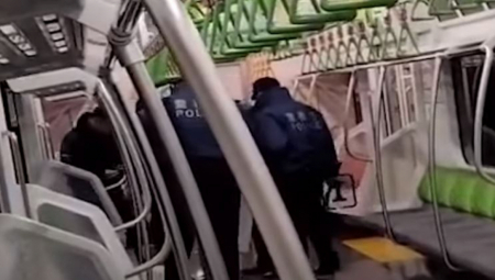 IZBOLA LJUDE U VOZU, SEKLA IH PO RUKAMA I TELU Horor u vagonu, policiji priznala :" Želela sam da ubijem nekoga" (VIDEO)