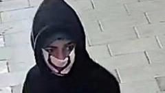 DEČACI UBICE NASTAVLJAJU DA PRAVE HAOS! Mlađi brat uhapšen na Božić, pa pobegao ponovo, institucije traže sistemsko rešenje