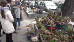 BADNJE JUTRO U SEVERNOJ MITROVICI: Ulice prepune ljudi, pripreme za Badnji dan i Božić (VIDEO)