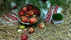 Ako želite da budete zdravi, danas nikako ne smete da uradite jednu stvar: Narodna verovanja za treći dan Božića