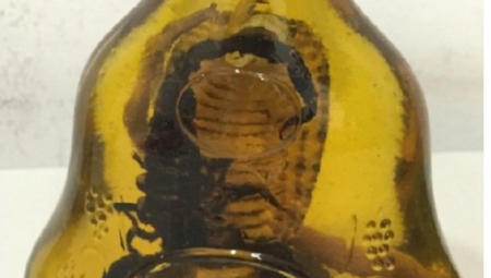 ZMIJA U ŽESTOKOM PIĆU Carinici u šoku, granica kao čistilište