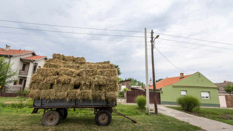 PRIJAVA ZA NOVU POMOĆ DRŽAVE POČINJE U PONOĆ Evo kako do besplatne kuće na selu i 10.000 evra