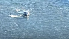 NEVEROVATNO! UHVAĆEN UKRAJINAC KOJI JE HTEO DA PREPLIVA GRANICU SA MOLDAVIJOM Razlog zbog kojeg je bežao će vas šokirati (VIDEO)