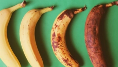 ŽUTE, ZELENKASTE, SA CRNIM TAČKAMA Koje banane su najzdravije, a koje treba izbegavati zbog bolesti?
