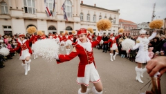 POČINJE PRAZNIK MIMOZE Jedinstvena svetkovina u čast žutog cveta