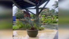 MAJKA I ĆERKA IZ SRBIJE DANIMA ZAROBLJENE NA OSTRVU ZBOG URAGANA "Zaključali su nas u hotel, nismo mogli da izađemo"