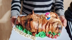 NESVAKIDAŠNJI ROĐENDANSKI POKLON Evo kakvu je tortu dobio Dragan iz Zagorice (FOTO)