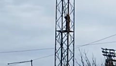 SKINULI GA VATROGASCI Pančevac se posvađao sa ženom, pa pobegao od nje na vrh tornja