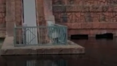 AJKULA UJELA DEČAKA (10) Porodica bespomoćno gledala, kamera sve zabeležila (UZNEMIRUJUĆI VIDEO)