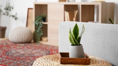 "BUDALA JE SAMO ONAJ KO GA KUPI" Prodaje stan za 40.000 evra na Kanarevom brdu, ali su zbog jedne stvari svi besni!