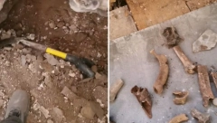 RENOVIRAO KUĆU, PA ISPOD PODA PRONAŠAO KOSTI Stajale su tu više od 200 godina, a kada je saznao kome pripadaju odmah ih vratio nazad (VIDEO)