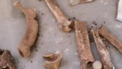 RENOVIRAO KUĆU, PA NAŠAO GOMILU ZAKOPANIH KOSTIJU Potražio na internetu pomoć i otkrio ČIJE SU (VIDEO)