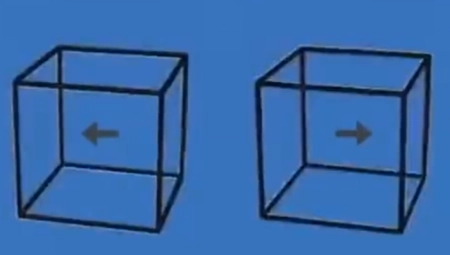 DA LI VAS OČI VARAJU?! Ova optička iluzija je sve ostavila u čudu (VIDEO)