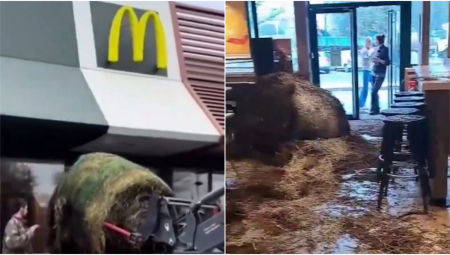 ČIZBURGER OD STAJSKOG ĐUBRIVA! Opšti haos u lokalnom Mekdonaldsu, ušli unutra i uneli ogromne količine stajnjaka! Smrdelo na sve strane (VIDEO)