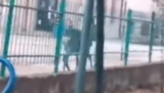 U SRPSKI GRAD ZALUTALA DIVLJA ŽIVOTINJA Ljudi se šokirali otkud ona tu, službe odmah reagovale (FOTO)