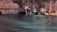 DEČAK (10) UŠAO U REZERVOAR SA AJKULAMA Voda postala crvena od krvi, ljudi vrištali (VIDEO)