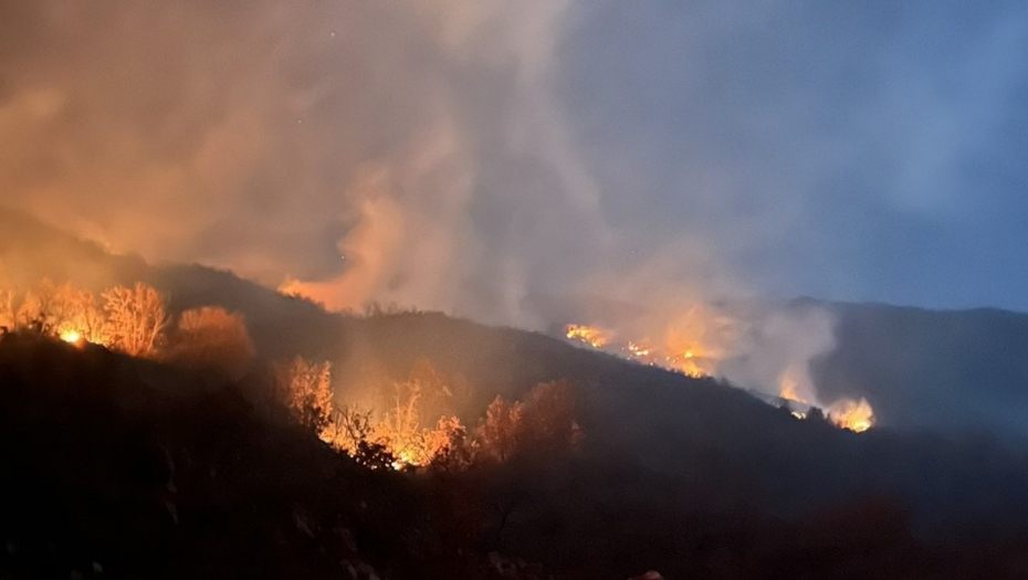 VATROGASCI SE SATIMA BORILI SA VATROM Veliki šumski požar kod Cetinja (FOTO)