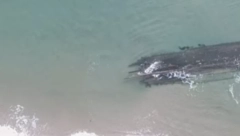 MISTERIOZNA OLUPINA SE NASUKALA NA OBALU! Sumnja se da je iz 1.800-ih godina (VIDEO)