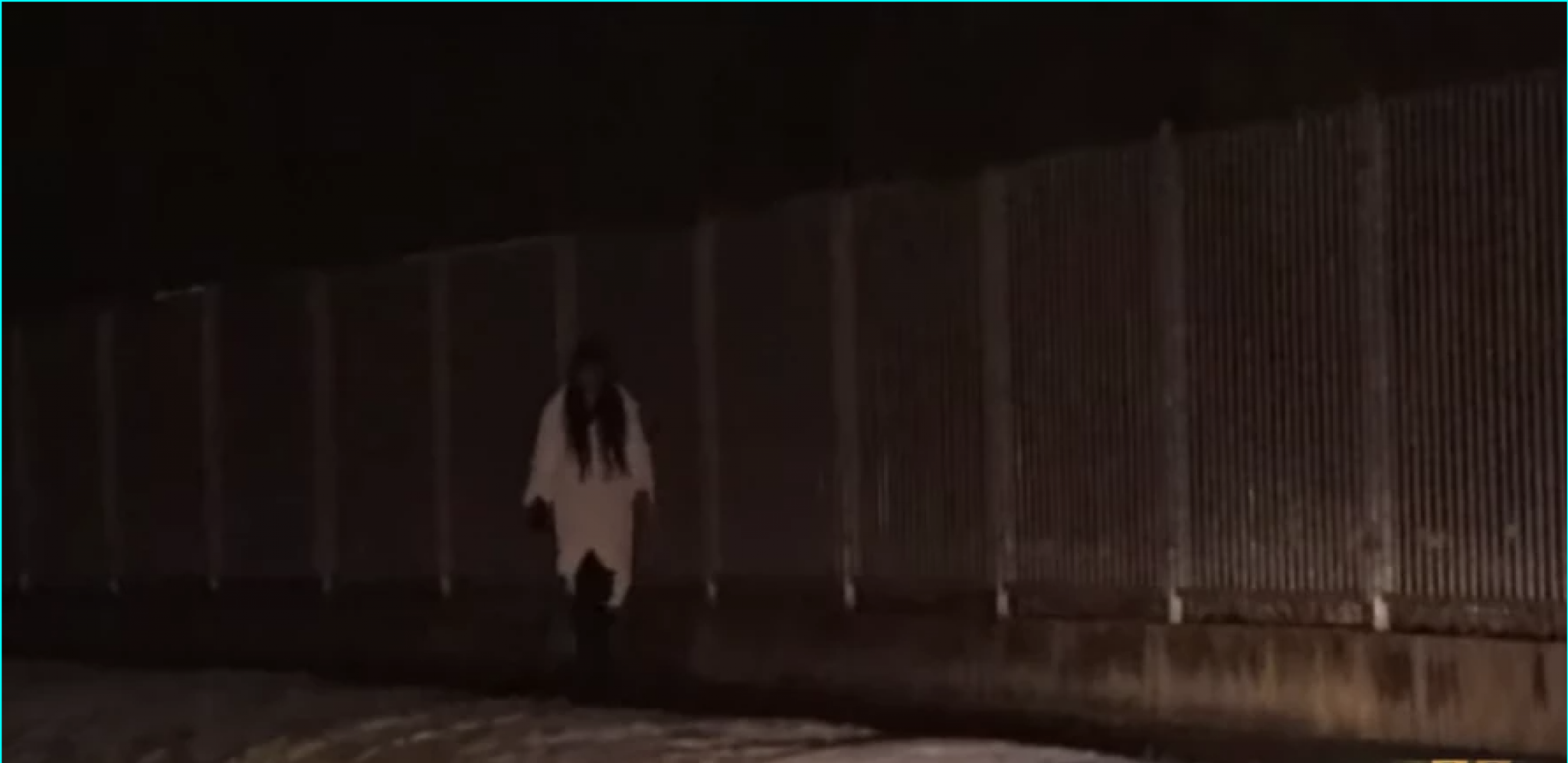 MILJANA KULIĆ KAO IZ HOROR FILMA Tumarala Šimanovcima usred noći, snimak je jeziv!