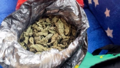 DOLIJAO DILER IZ MELJAKA  Policija tokom pretresa pronašla oko 454 grama marihuane