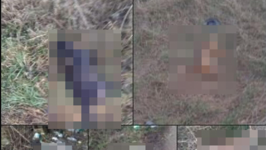 20 MRTVIH PASA PORED PUTA! Miloš krenuo na trčanje, pa zatekao horor: "Zaustavio se beli kombi..."