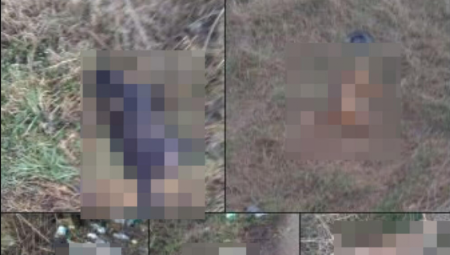 20 MRTVIH PASA PORED PUTA! Miloš krenuo na trčanje, pa zatekao horor: "Zaustavio se beli kombi..."