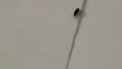 BUBAŠVABE MILE PO ZIDOVIMA I KREVETIMA Žena objavila jezive snimke iz bolnice, pa doživela neprijatnost: "Terali su me da obrišem sve"