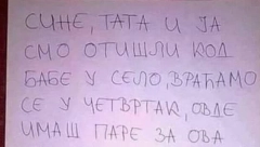 OTIŠLI U SELO, A SINU OSTAVILI PORUKU I PARE Kad vidite šta ga mole da ne radi, plakaćete od smeha