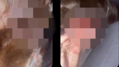 "ĆERKA OD UŽASA VRIŠTALA I POVRAĆALA" Pitbul u Zemunu napao psa, unakazio ga! Petoro sprečavalo POKOLJ