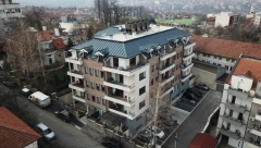 NAJEZDA BUBA U BEOGRADU A NISU SMRDIBUBE: Brze su kao metak, rastu i do 10 centimetara ali bolje da ih NE UBIJATE