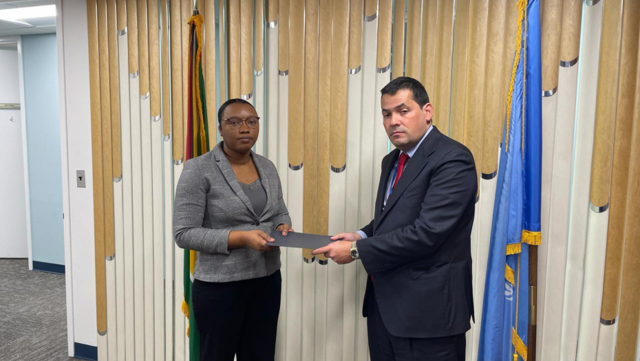 OGLASILA SE MISIJA GVAJANE NAKON ZAHTEVA SRBIJE Evo šta su poručili o vanrednoj sednici