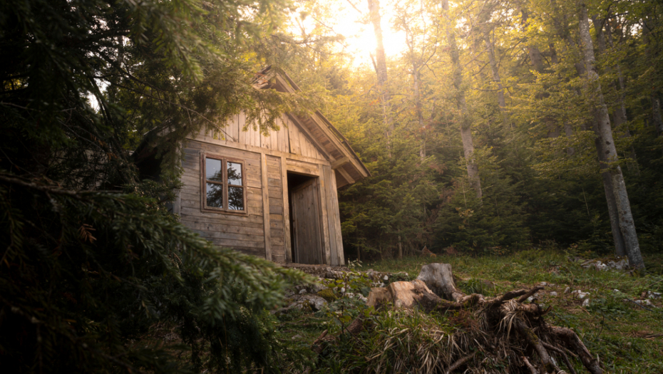 "LELE, ZAR TOGA IMA I KOD NAS?" Na Tari uslikan jeziv stvor, ljudi prestrašeni (FOTO)