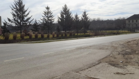 "PREŠAO JE PREDNJIM TOČKOVIMA PREKO JELENE, I ZAUSTAVIO SE ZADNJIM TOČKOVIMA TIK ISPRED NJE" Rođak opisao jezive detalje tragedije u Dolovu