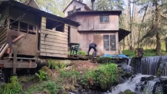 ŽIVI SAM U ŠUMI SKORO POLA VEKA!  Sam je smislio kako da ima struju, a otkrio je i tajnu svoje vitalnosti (FOTO, VIDEO)