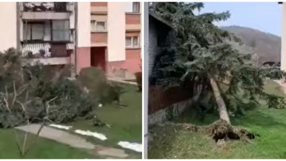 JAK VETAR PRAVI HAOS U OVIM DELOVIMA SRBIJE Odvaljuje semafore, krovove i stabla!
