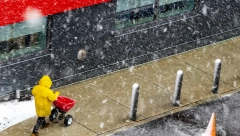 NESTAJU GODIŠNJA DOBA! Da li će deca u budućnosti znati šta je sneg? Meterolog Branko upozorava na dramatične promene!