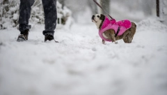 SLEDEĆE NEDELJE MOGUĆIH 20 CM SNEGA! Evo gde će u Srbiji biti najobilnijih padavina