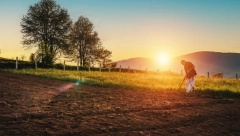 PLAC PRELEP, KUĆA TREBA DA SE RENOVIRA... Siniša sve to nudi za 7.000 evra u čuvenom selu