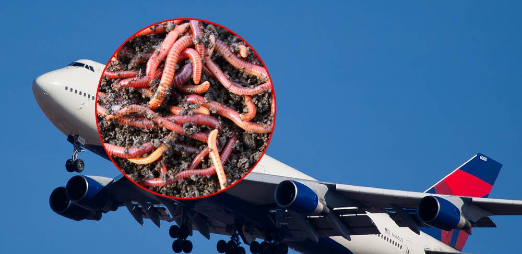 LET IZ PAKLA, ZLOČIN U VAZDUHU! Putnici zgroženi incidentom u avionu, ono što se desilo LEDI KRV U ŽILAMA