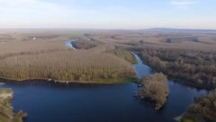 UŽAS U NIŠU Telo žene pronađeno u reci