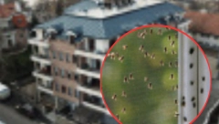 NOVA NAJEZDA, PEŠČANE MUŠICE POČELE DA SE POJAVLJUJU U SRBIJI Mogu preneti lajšmaniju i virusni meningitis