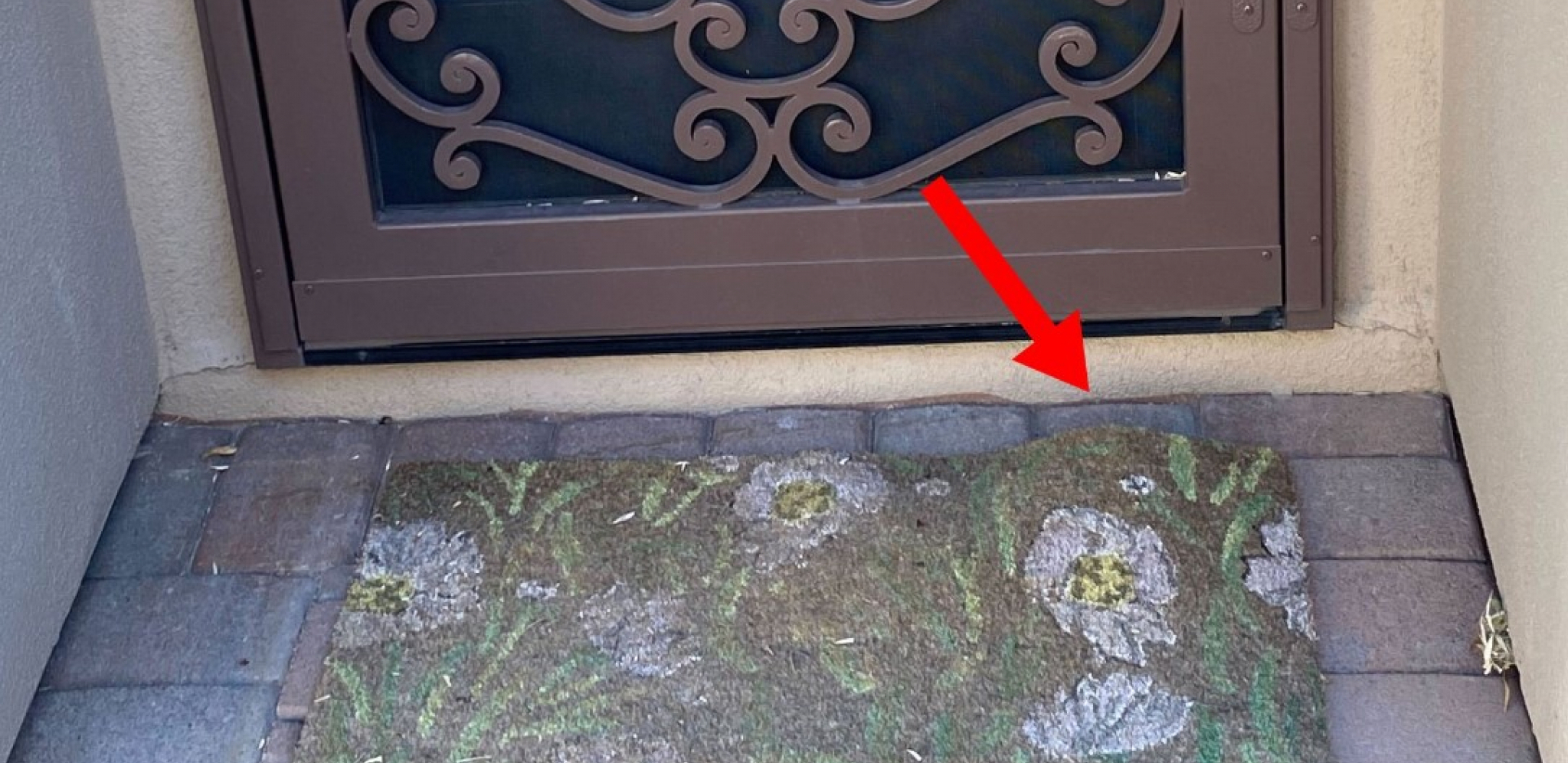 SMRTONOSNA ZVER NA KUĆNOM PRAGU Vlasnica kuće u šoku nakon što je shvatila da se otirač pomera! (VIDEO)