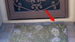 SMRTONOSNA ZVER NA KUĆNOM PRAGU Vlasnica kuće u šoku nakon što je shvatila da se otirač pomera! (VIDEO)