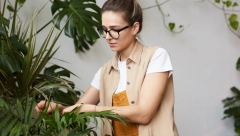 Oporavite sobno cveće posle zime: Preporodiće se za samo sedam dana – u vodu dodajte samo ovo